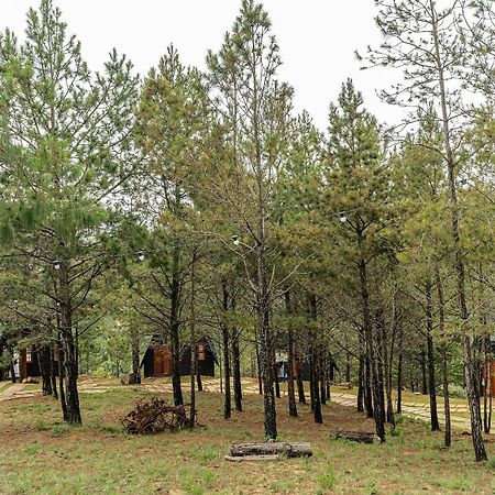 Chales Naturale - Campos Do Jordao - Cna Εξωτερικό φωτογραφία