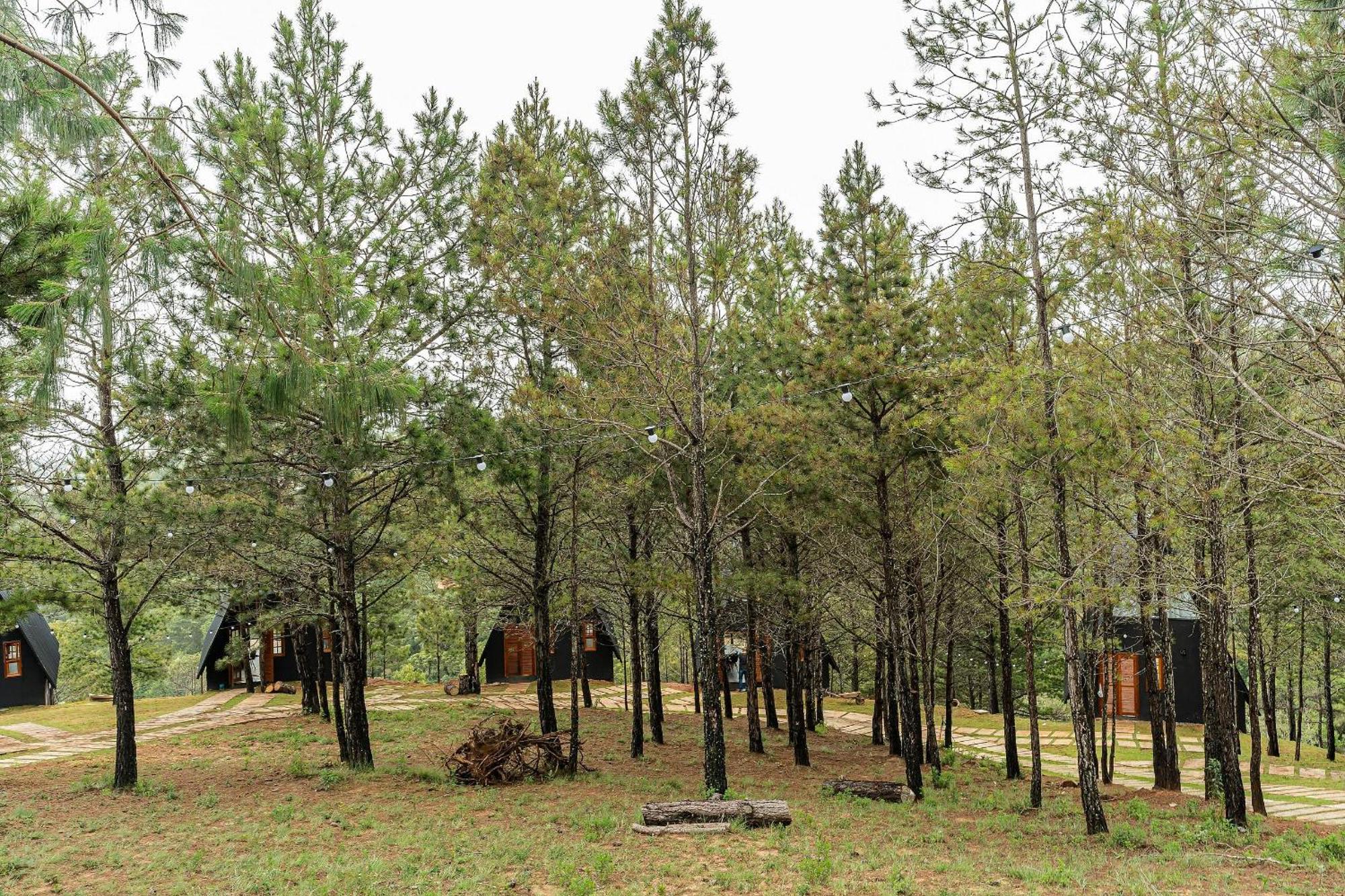 Chales Naturale - Campos Do Jordao - Cna Εξωτερικό φωτογραφία